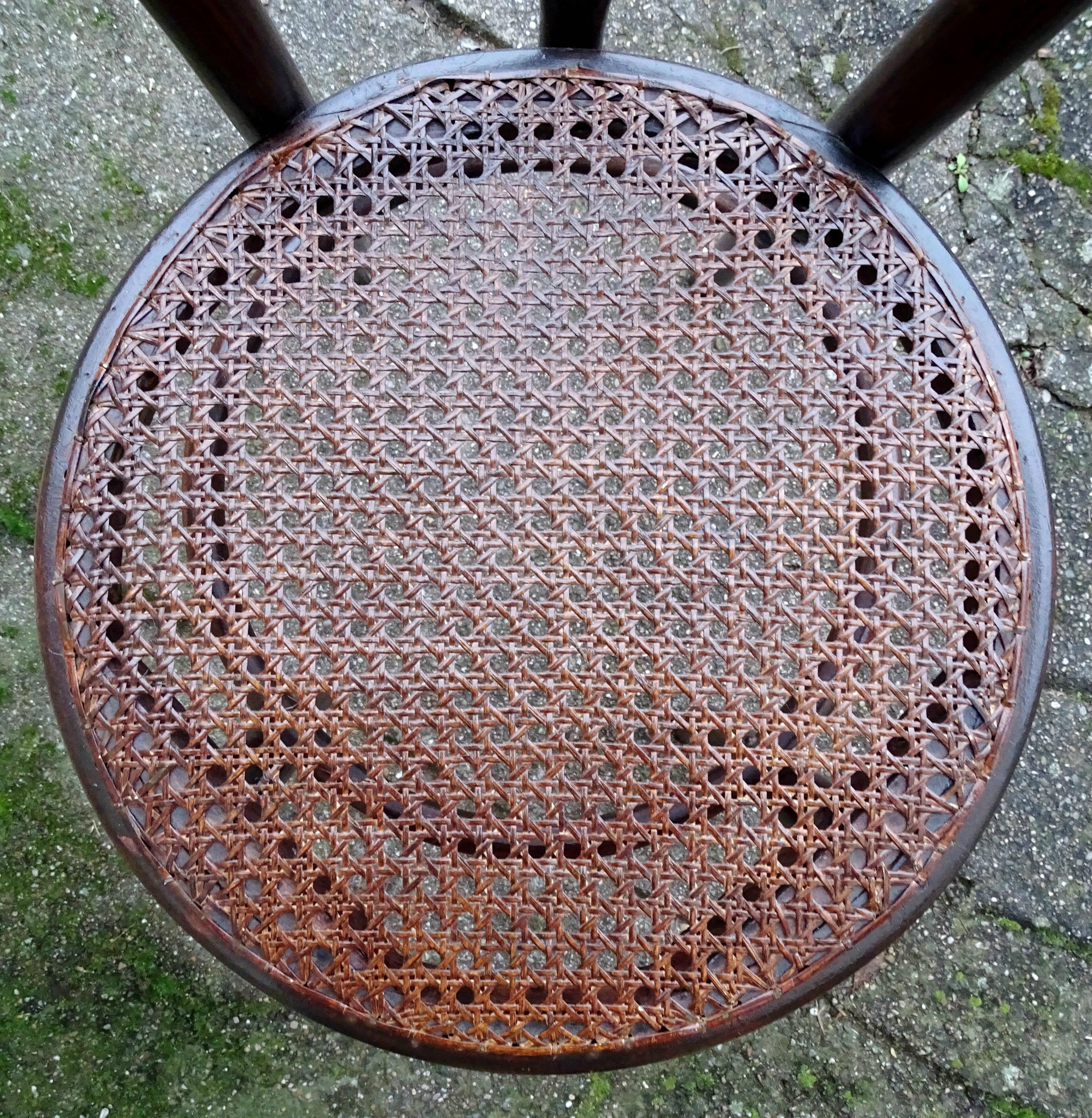 Set de six chaises Thonet N°561- Art nouveau - dining chairs , 1925
