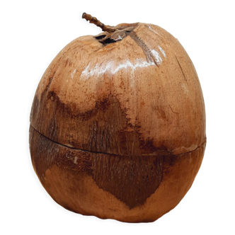 Bac à glaçons noix de coco