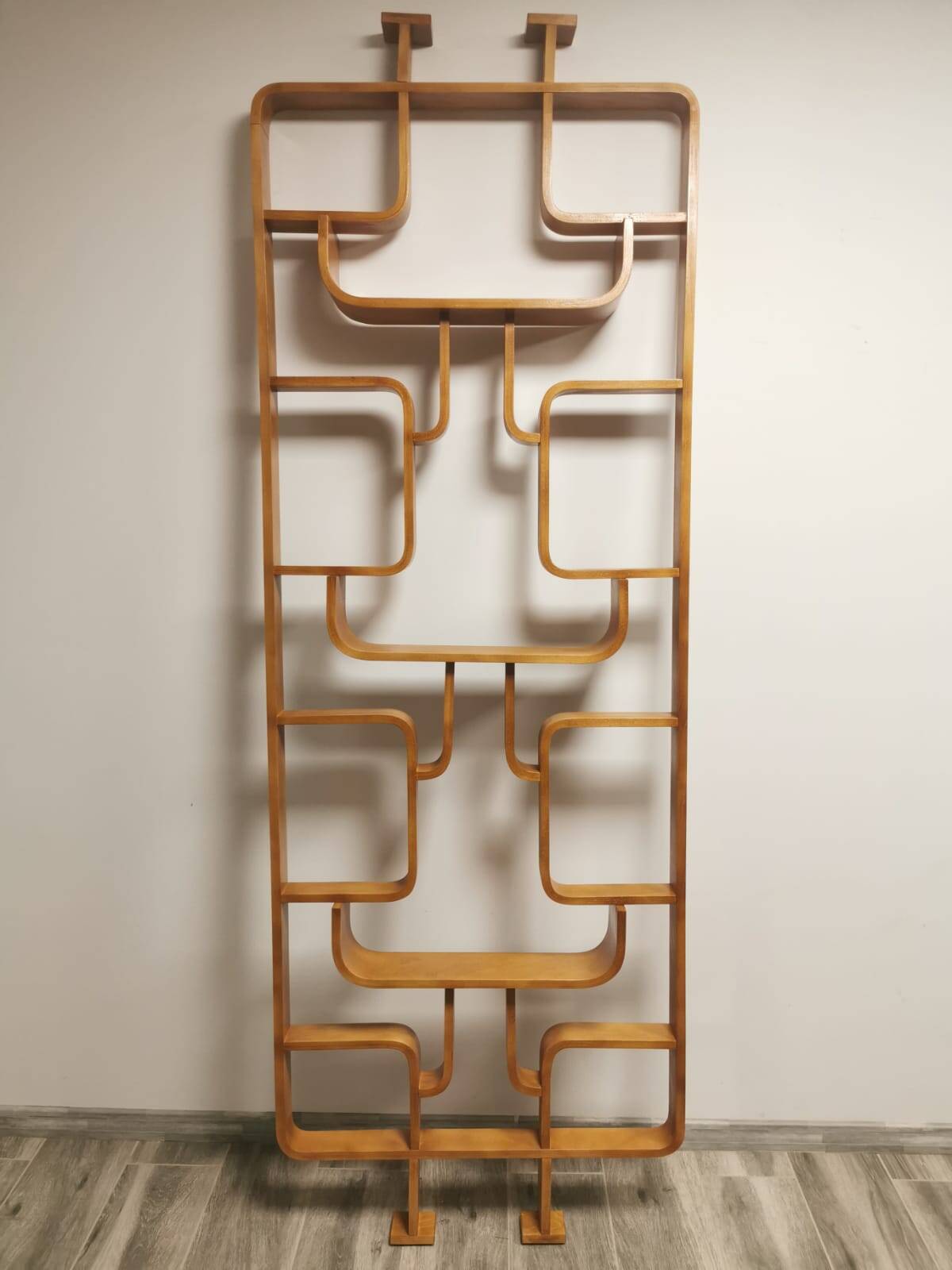Room Dividers by Ludvik Volak for Drevopodnik Holesov, 1950s, Set of 2