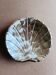 Silver metal shell bowl Ikora