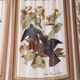 Stunning Tall chunky Bronze Corinthian Column Table Lamp with Bird Shade