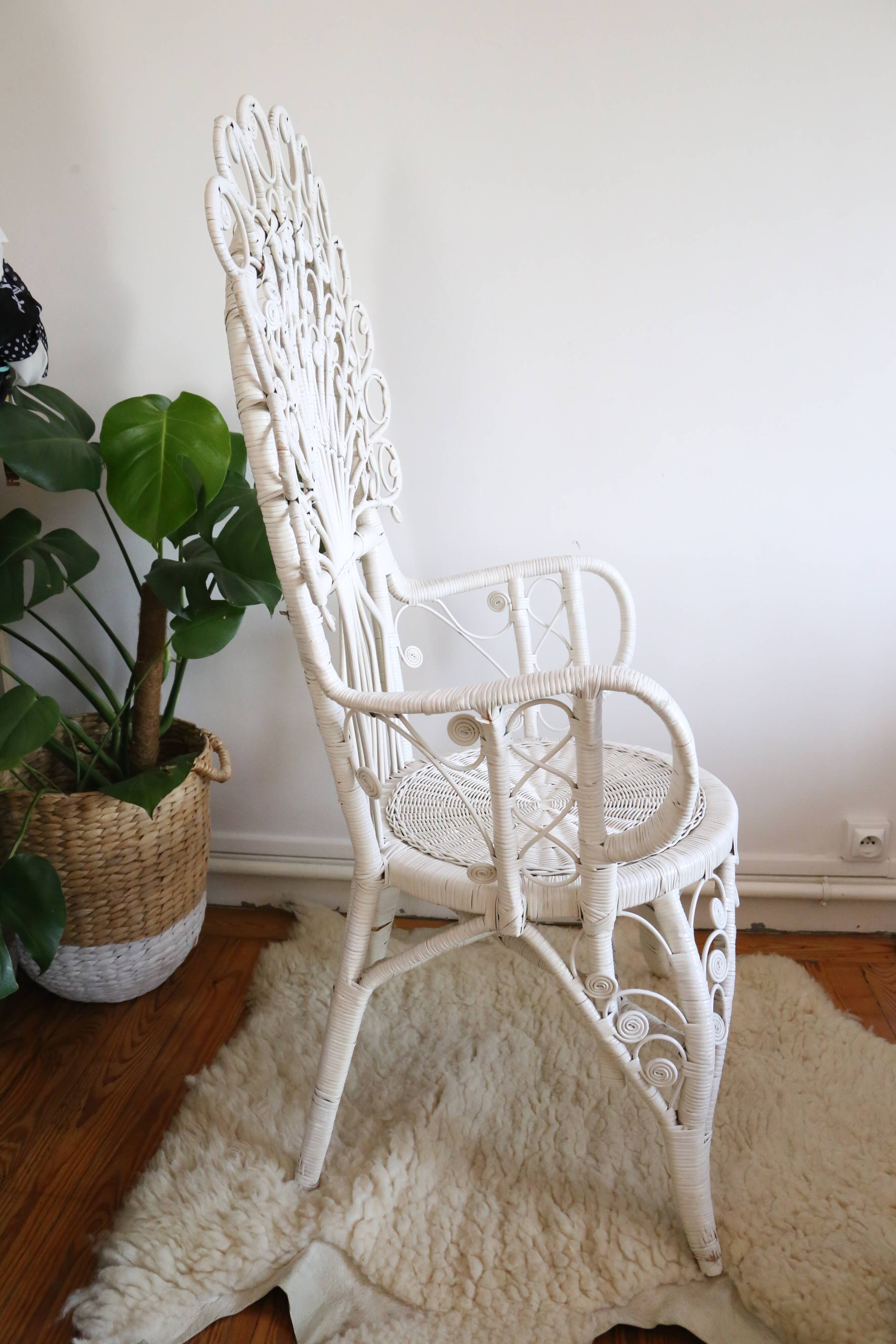 Peacok rattan armchair