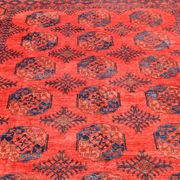 Tapis d'orient Boukhara Turkmène Afghanistan : 350 x 255 Cm