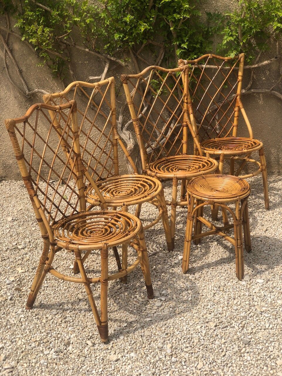 Set of 6 chairs in rattan Louis Sognot 1960