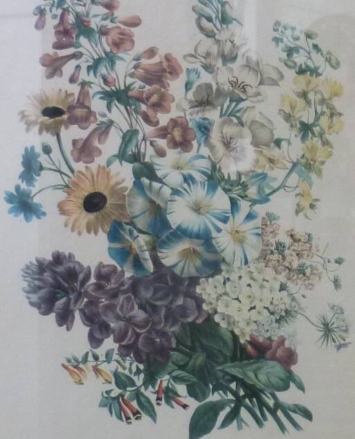 Framed Vilmorin lithograph, bouquet No 3, 1853, E. Champin
