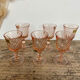 6 "Rosaline" vintage liqueur glasses by Luminarc