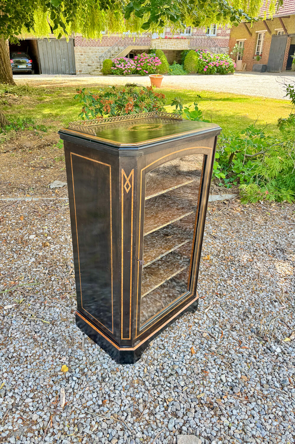 Blackened wooden display case from the Napoleon III period, 19th century