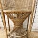Fauteuil emmanuelle adulte