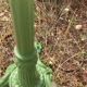 Table bistrot pedestal table