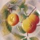 Set of 4 plates in St Clément Barbotine - Majolica - Fruits