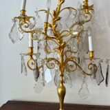 Pair of lamps in gilded bronze and crystal