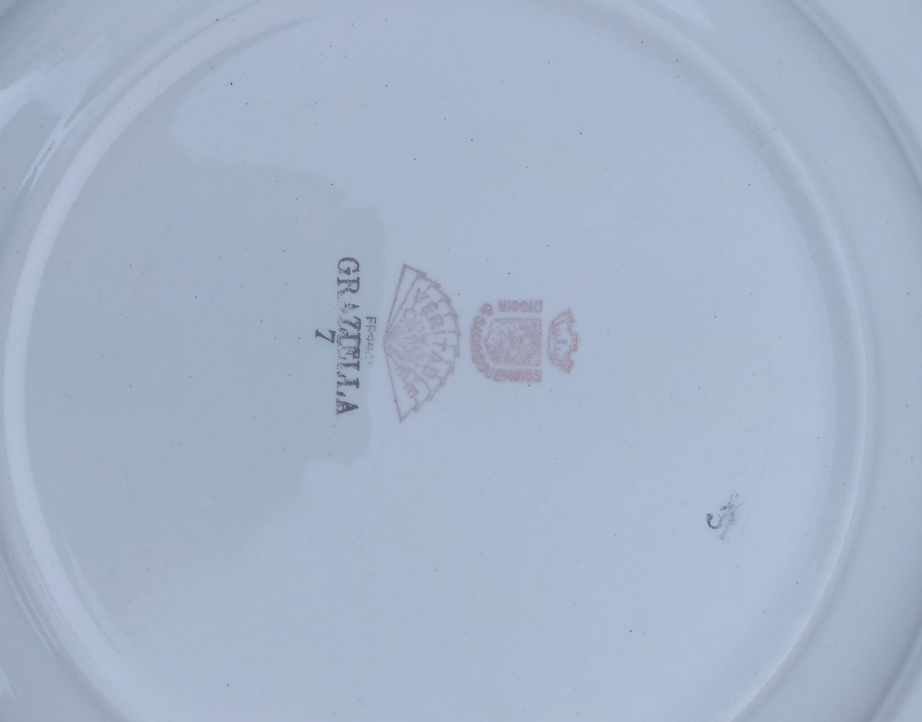 10 hollow plates model graziella sarreguemines & digoin