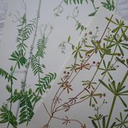 Set of 2 botanical boards Geigy