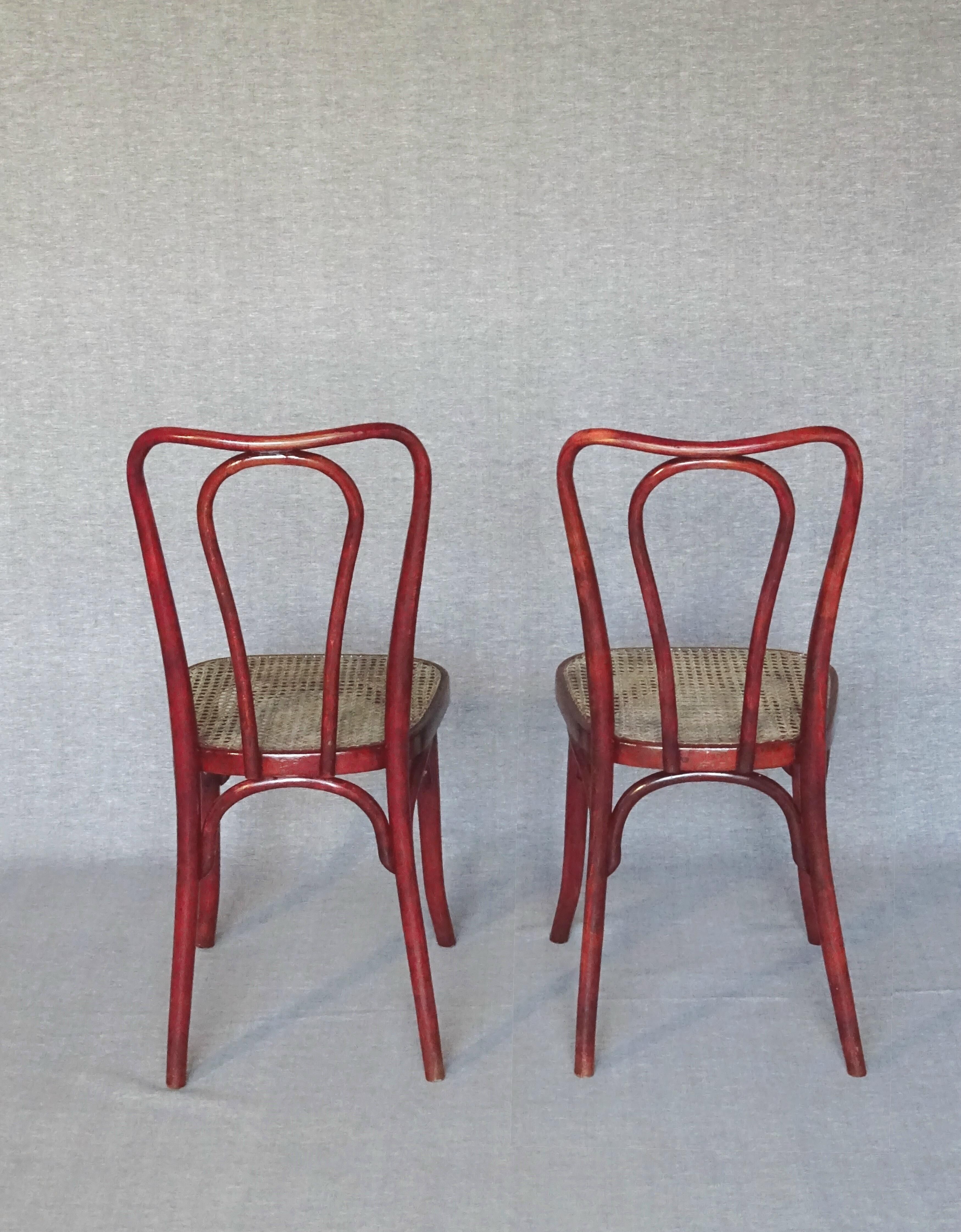 Set of 2 chairs tanned Bistrot by Thonet N°A49 - 1925 -