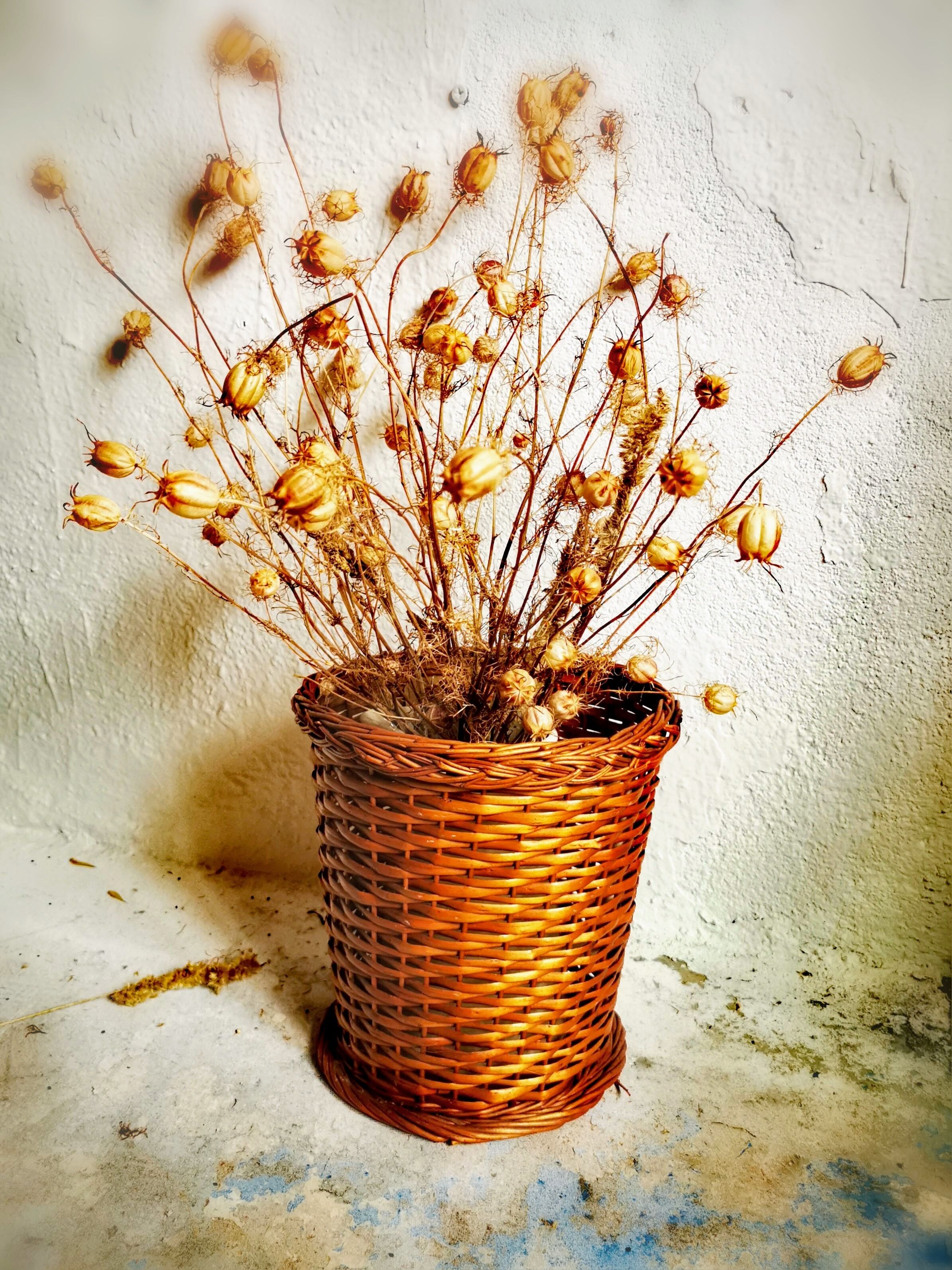 Braided wicker pot cover