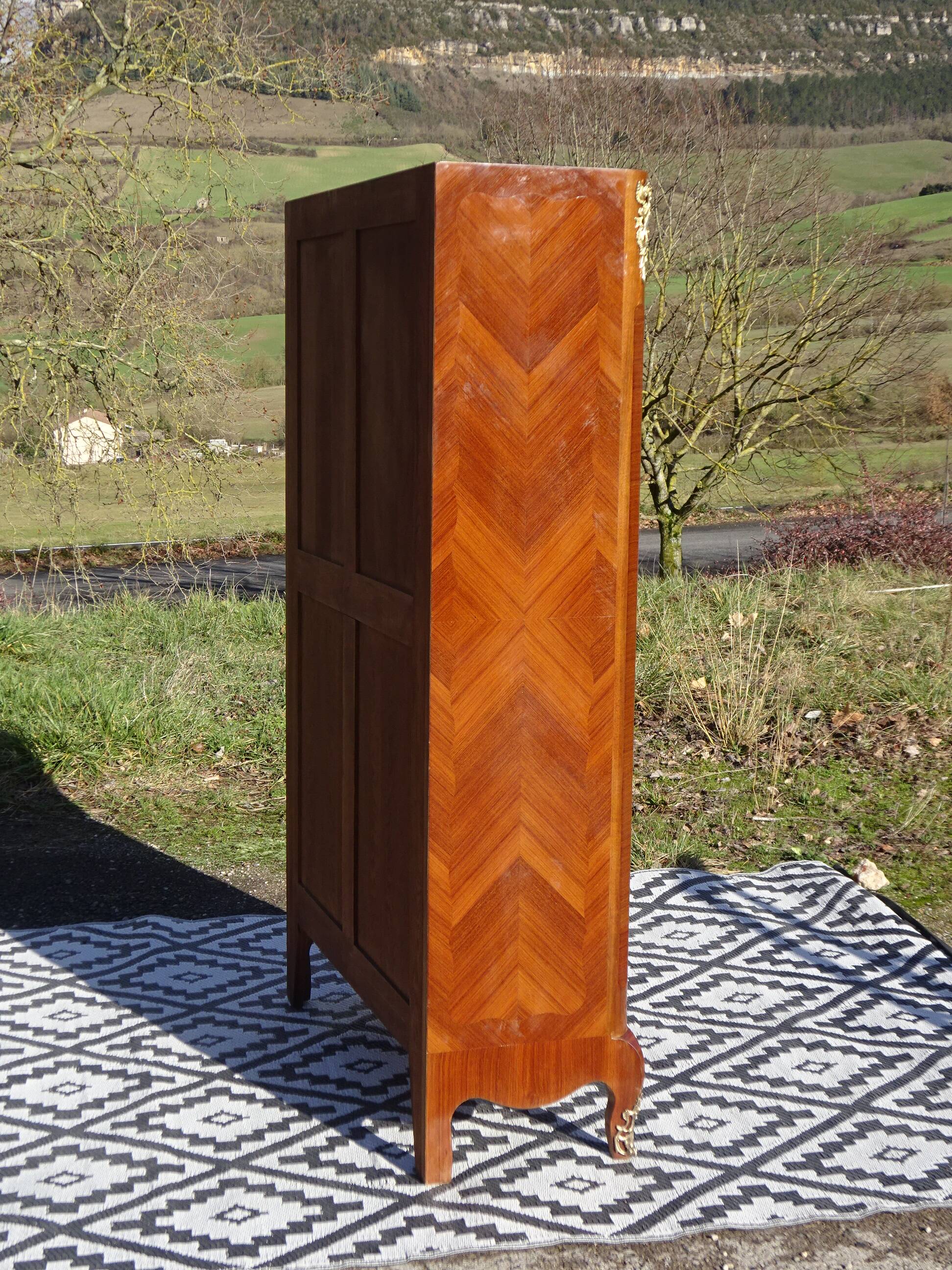 Glass library with rosewood marquetry in the Louis XV style.