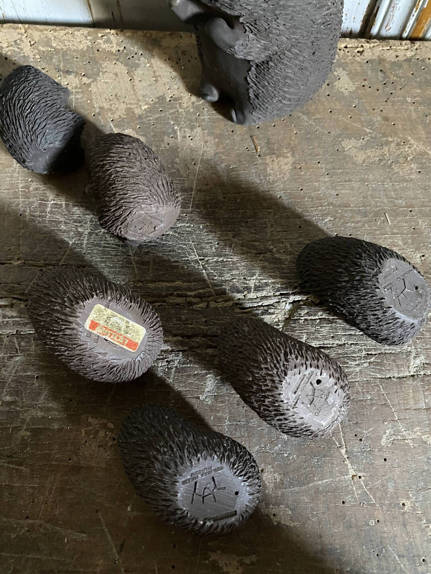 Danish hedgehogs by Ellen Karlsen