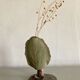 Soliflore terracotta tree and dog