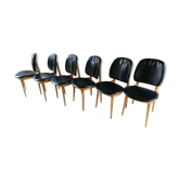 6 chairs Baumann Pegasus