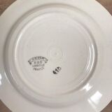 Set of 9 antique dessert plates
