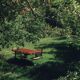 Table scandinave en teck de Johannes Andersen, 1960