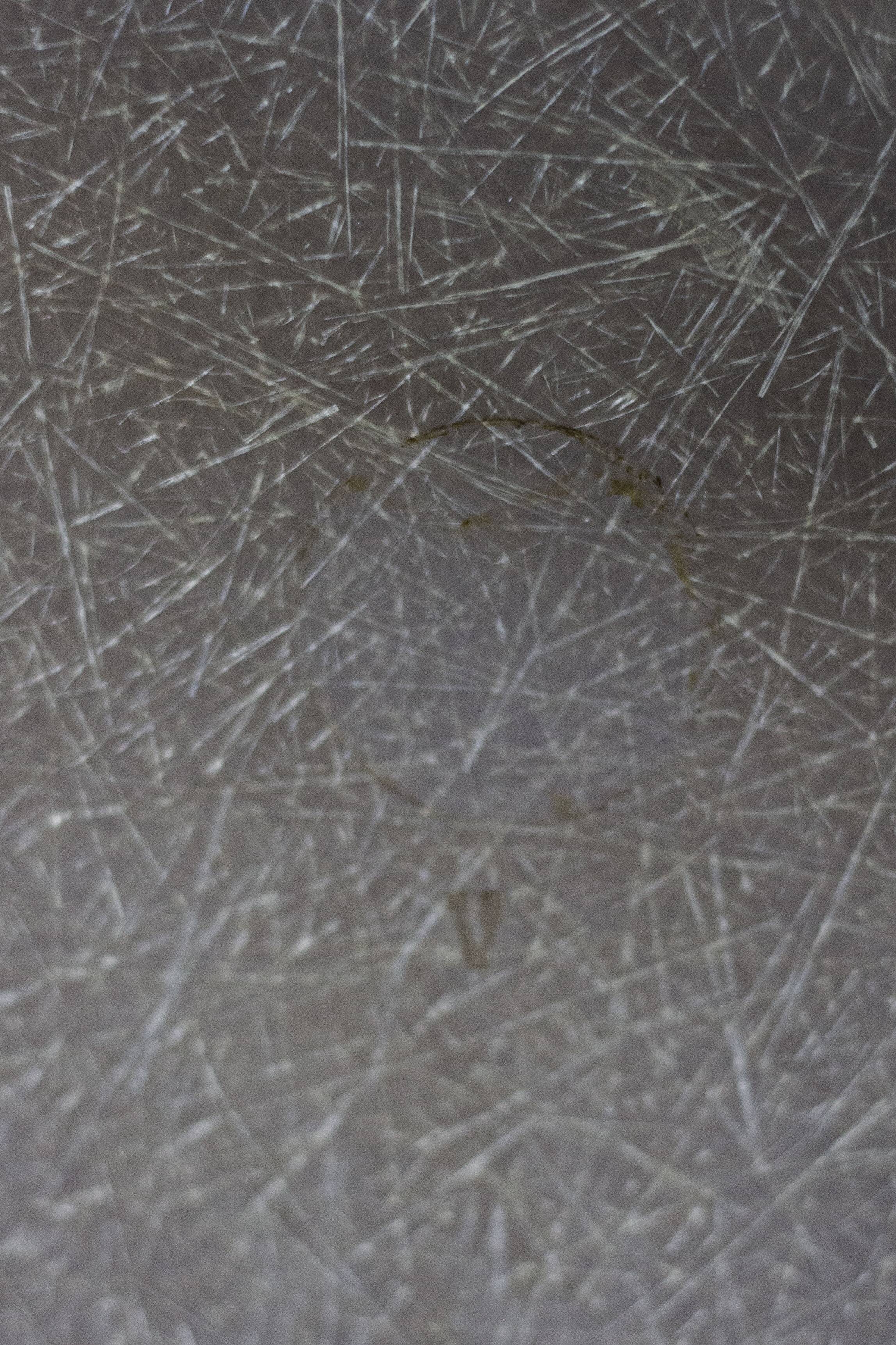 DAX chair by Eames for Herman Miller, 1960