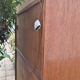 Oak secretary 1960