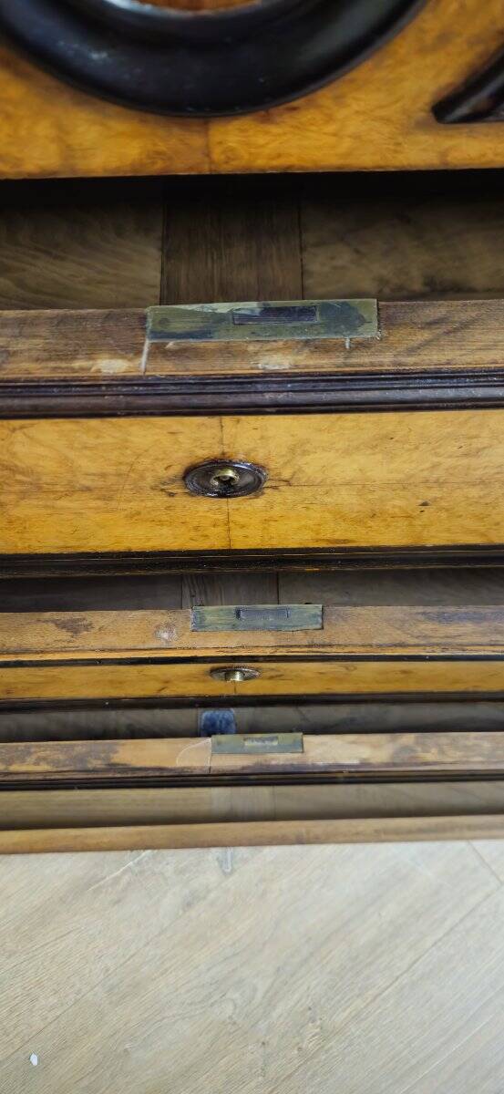 Charles X period commode in maple and blackened pear (circa 1820)