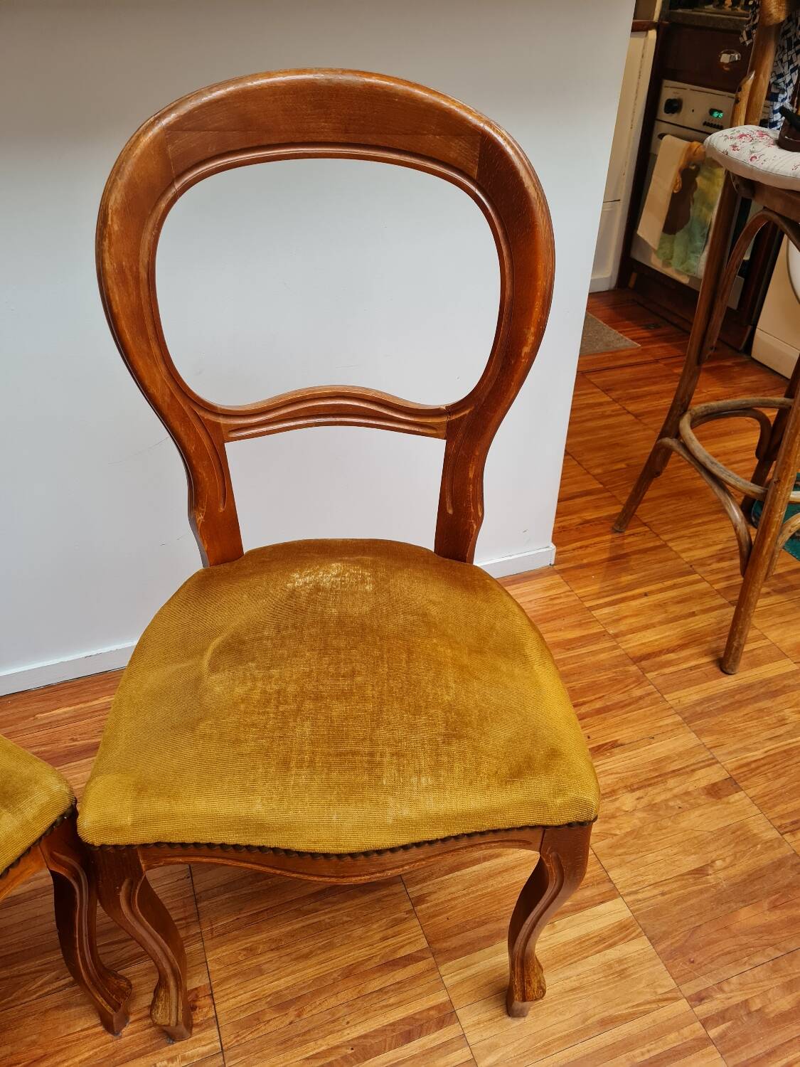 Pair of wooden chairs with velvet seats