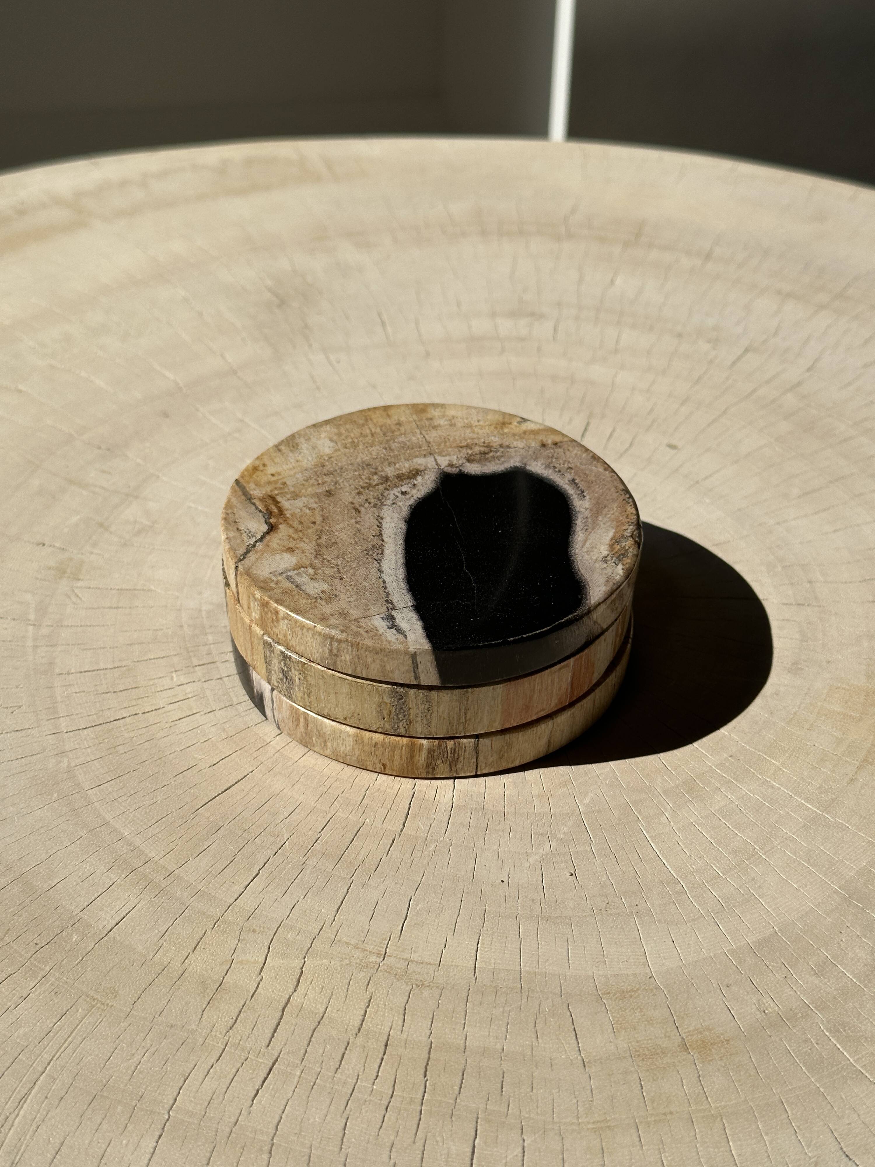 Set of 3 fossilized wood coasters (clear)