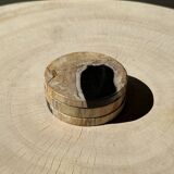 Set of 3 fossilized wood coasters (clear)