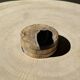 Set of 3 fossilized wood coasters (clear)