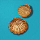 Empty-pocket shells
