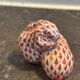 Herend rabbit