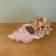 Vintage shell pot cover in pink pearly ceramic