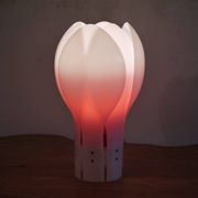 Lampe tulipe en plexi de Yngve ekstrom 1970