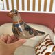 Oiseau céramique Mexique