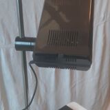 Samp manade lamp