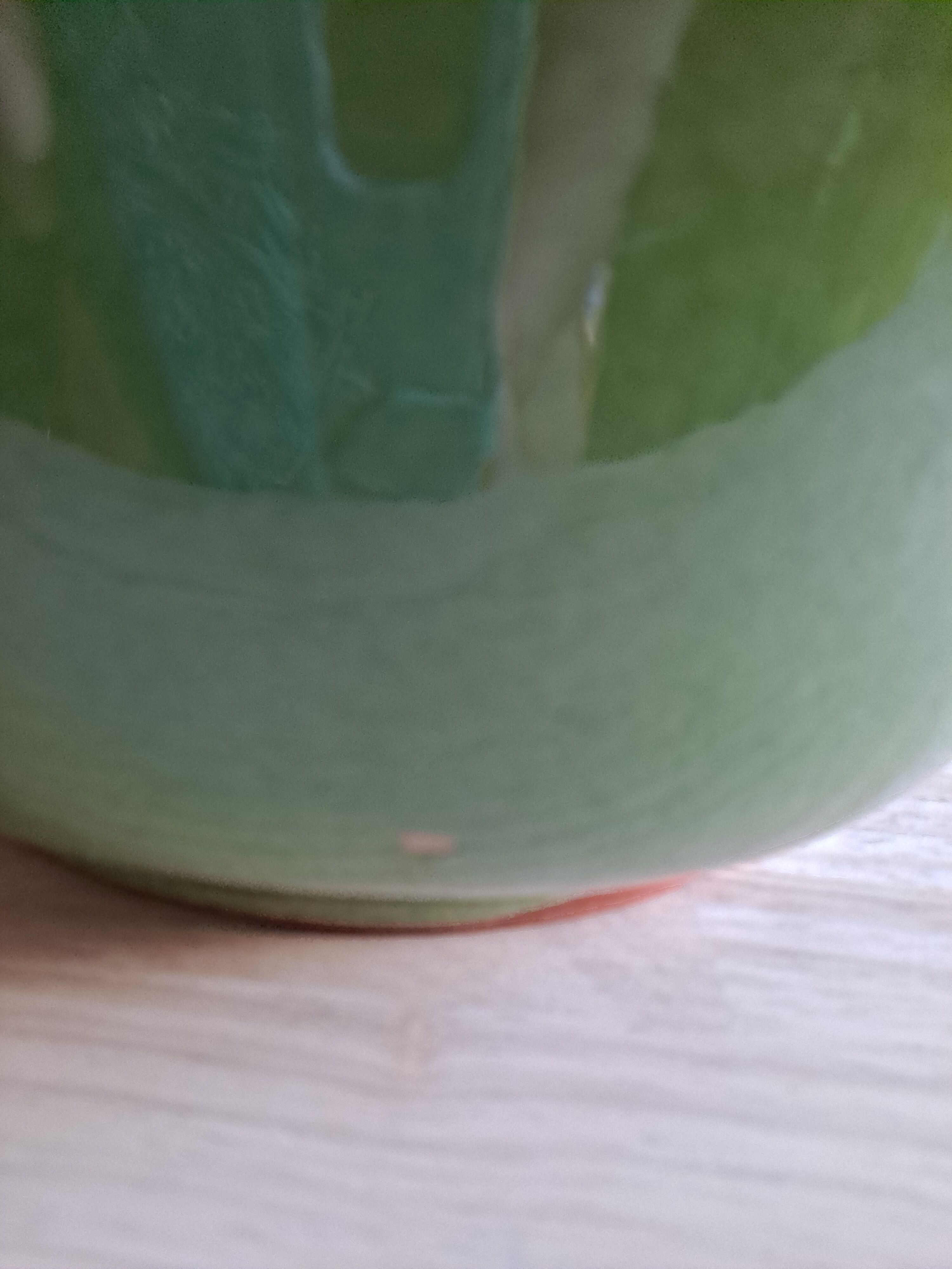 Dish salad bowl Savoy earthenware decoration flowers and bird