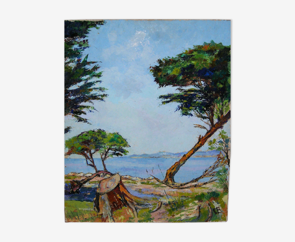 Le pin parasol Charles Belbeoc'h (1926- )