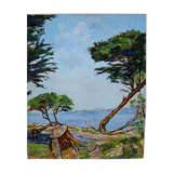 Le pin parasol Charles Belbeoc'h (1926- )