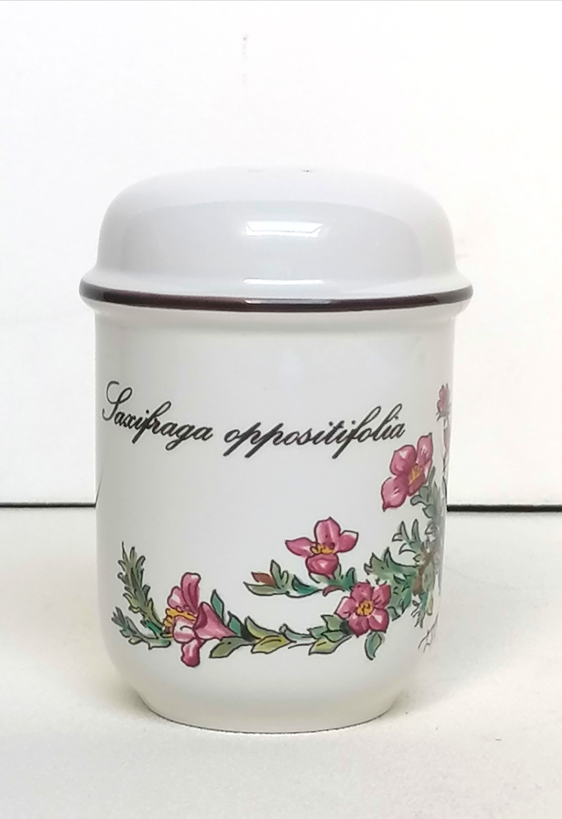 Salière and pepper shaker Villeroy and Boch botanical decoration