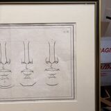 Old Print Engraving 19th Century Anatomy Nose Mouth Plate Head Morphology