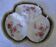 Servant beggar old porcelain 3 compartments small roses on white background