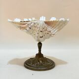 Shell chalice Old natural holy water stoup on bronze foot 19th century empty pockets cabinet of curiosities