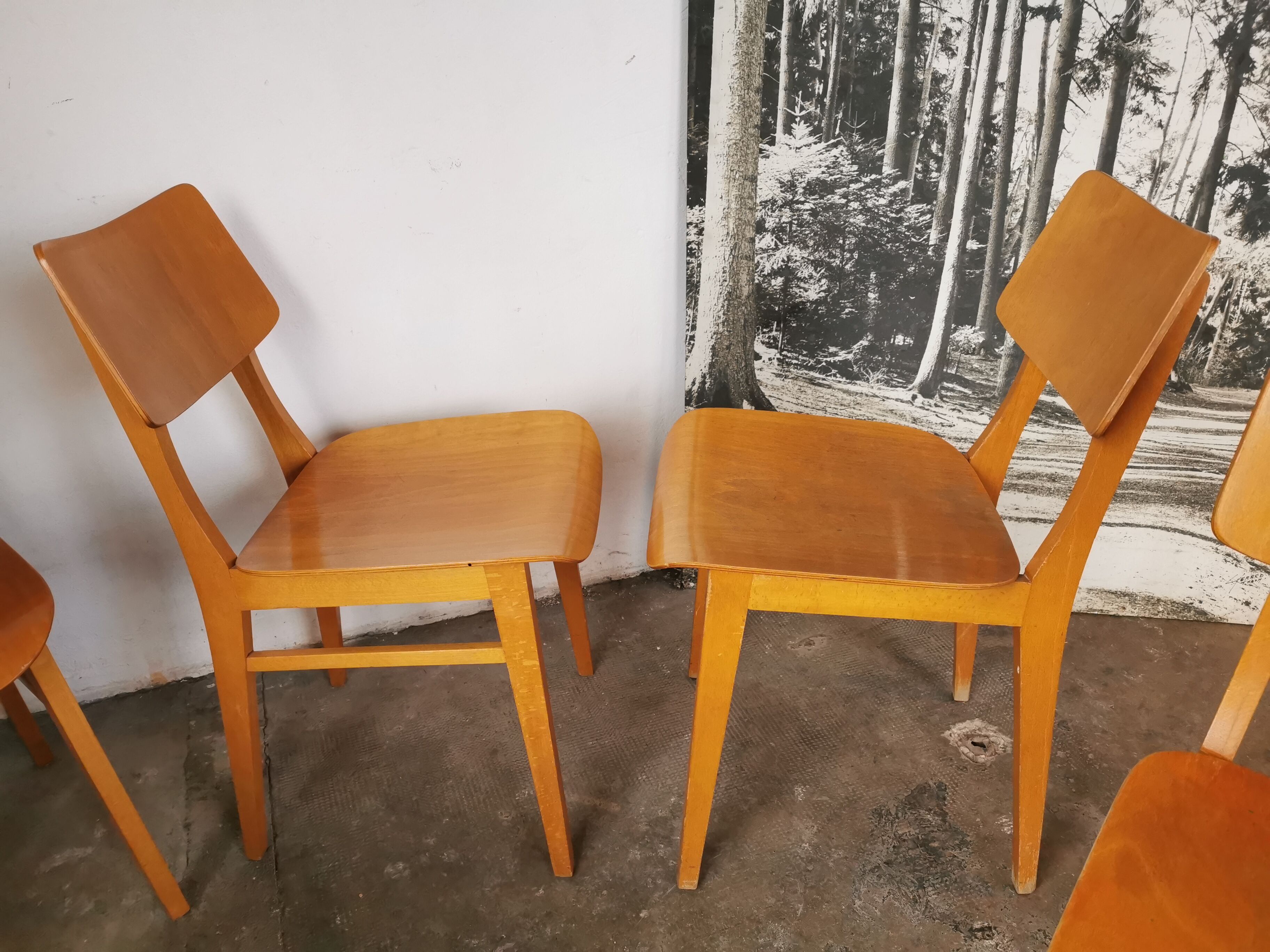 Set of 6 chairs from the 60s