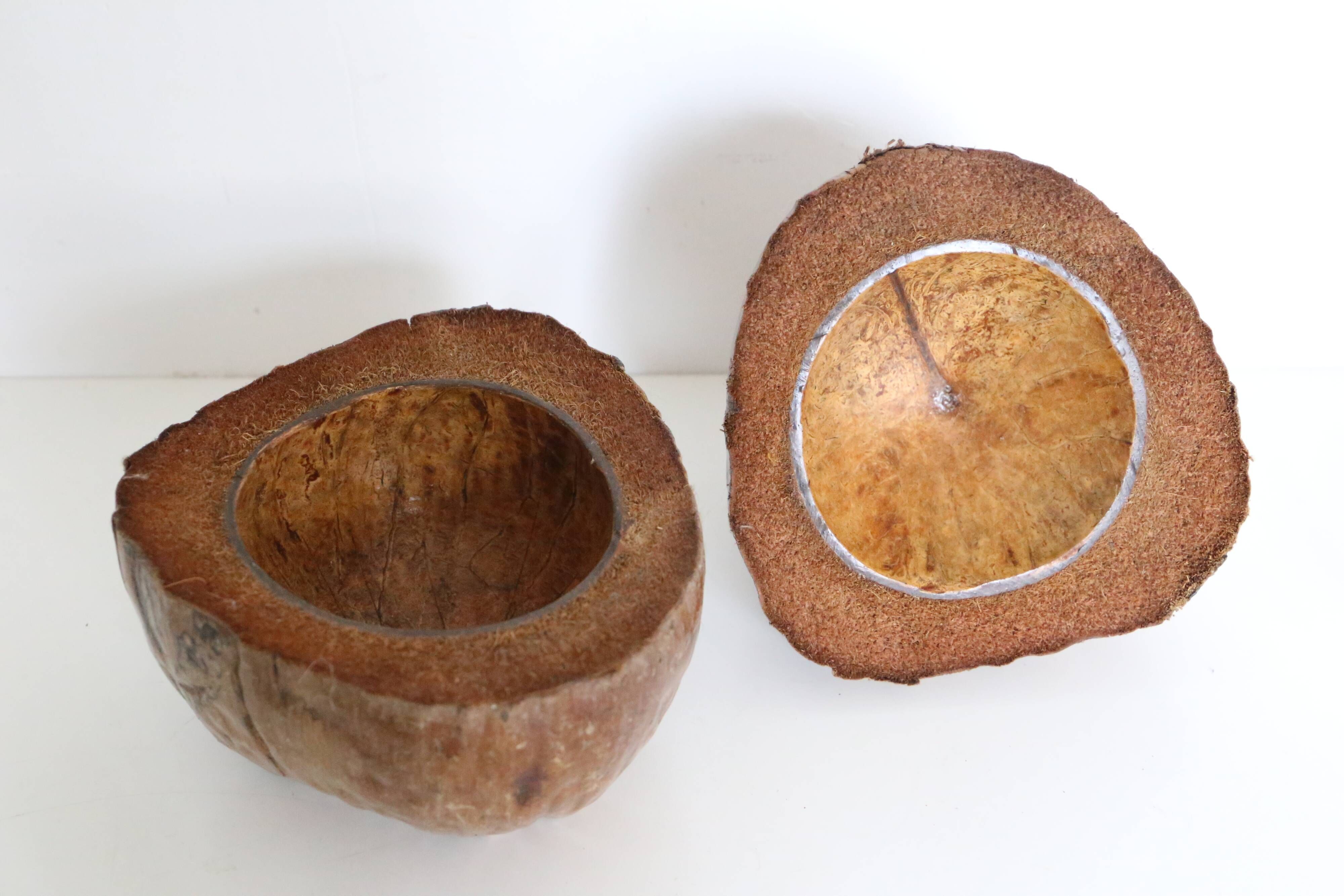 Ice bucket, nature decoration, exotic
