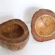 Ice bucket, nature decoration, exotic