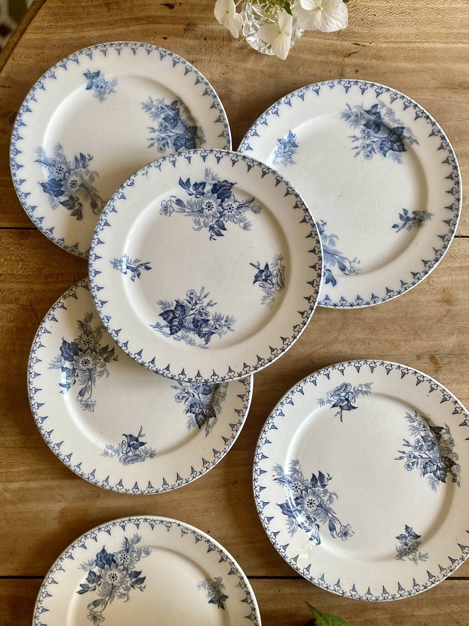 Set of 6 old dessert plates - Flore de Sarreguemines