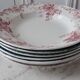 Set of 6 hollow plates Terre de Fer XIXth Saint Amand "Campanule" "Anémone"